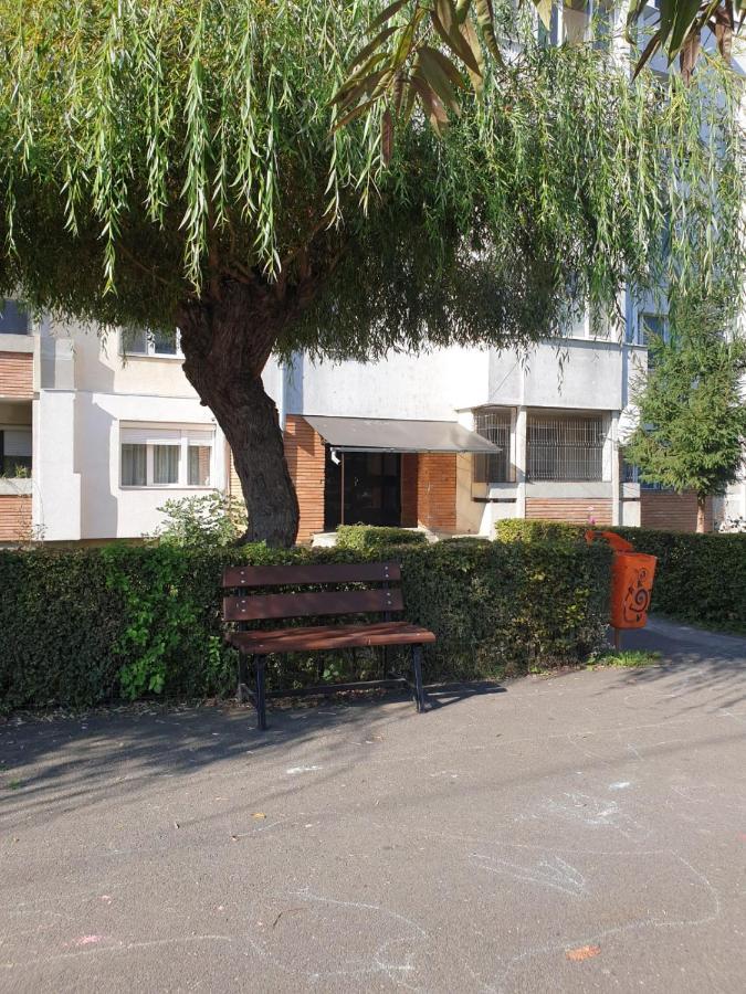 Pdn Apartment Sighisoara Exterior photo